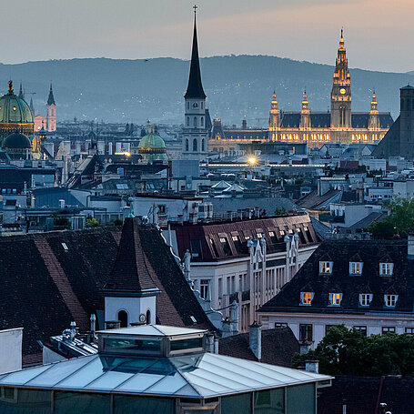 Ausblick über die Dächer Wiens bei Dämmerung als attraktiver Standort für WORK und INVEST in AUSTRIA
